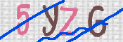 キャプチャ画像