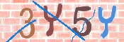 キャプチャ画像